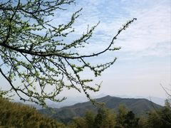 -径山寺