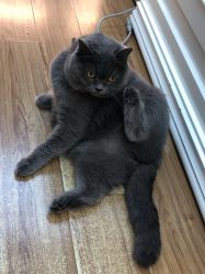 -EasyLady美甲沙龙