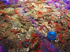 -澜悦港海鲜体验主题餐厅