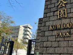 -九龙公园