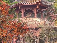 -成都杜甫草堂博物馆