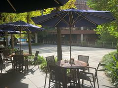 -新元素餐厅(瑞虹天地月亮湾店)