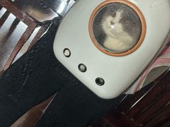 -瑞鹏宠物医院·骨科·猫科·内科(第一中心)