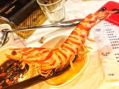 -鲜入围煮花胶鸡海鲜火锅