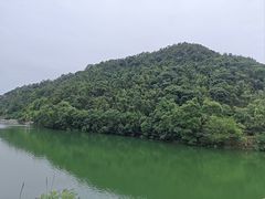 -桃花岭景区