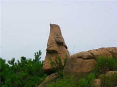 -招虎山国家森林公园-售票处