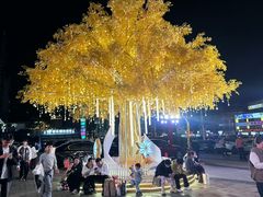 -FPA(友谊阳光城店铺)