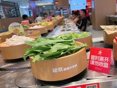 -龍歌自助小火锅(李沧丽达店)