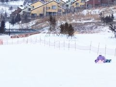 -中旅松花湖滑雪场