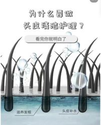 -Bollins波林丝•专研护发中心