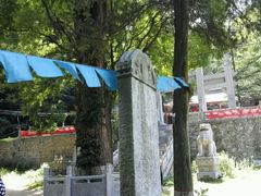 -牛背梁国家森林公园