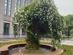 -上海师范大学附属中学(三林校区)