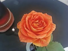 -忆家名门·上海菜(徐家汇店)
