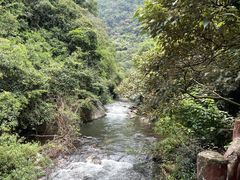 -广州市石门国家森林公园