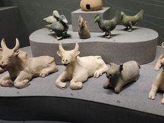 -广西壮族自治区博物馆