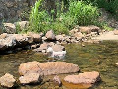 -北仑森林植物园