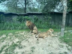 -北京野生动物园