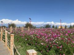 -青海湖国家重点风景名胜区