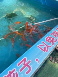 -萌宠亲子动物乐园(槐房万达店)