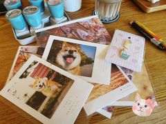 明信片-猫的天空之城概念书店(景德镇陶溪川店)