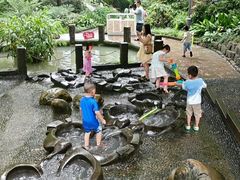 -成都市活水公园