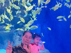 -成都浩海立方海洋公园