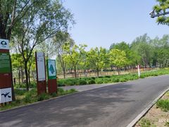 -东郊湿地公园