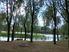 -东郊湿地公园