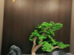-蜀厨小匠·民间川菜(犀浦店)