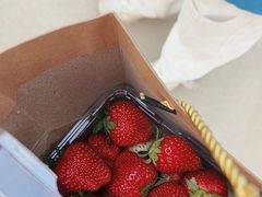 -甜心庄园·甜心草莓采摘园(西青中北店)