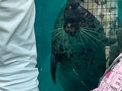 -沈阳森林动物园