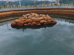 -大理地热国
