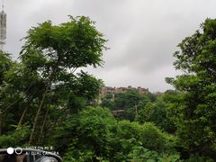 -石燕湖生态旅游景区