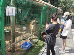 -大鹅岛绿色生态美食园