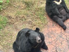 -无锡动物园·太湖欢乐园