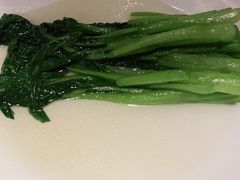 -高第街56号餐厅(泰安万达店)