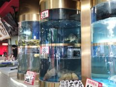 -蜀滋香鲜鱼美蛙火锅(339店)