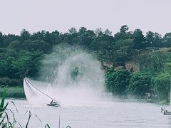 -大塘金香草谷