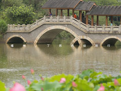 -金山公园