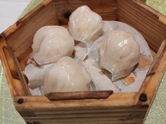 -龙庭华宴·粤菜·早茶