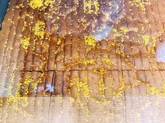 -满满元气和田大枣糕·蛋糕(朝阳大悦城店)