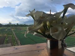 -翠田Green Field Kitchen