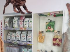 -瑞派申生动物医院·24H夜诊·国际动物医疗中心·骨外科(吴中路店)