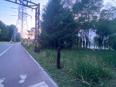 -长白岛森林公园