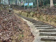 -灵顺寺