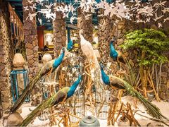 -云海肴·汽锅鸡·云南菜(天山百盛优客店)