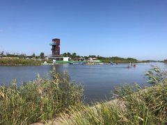 -春花秋色城市公园