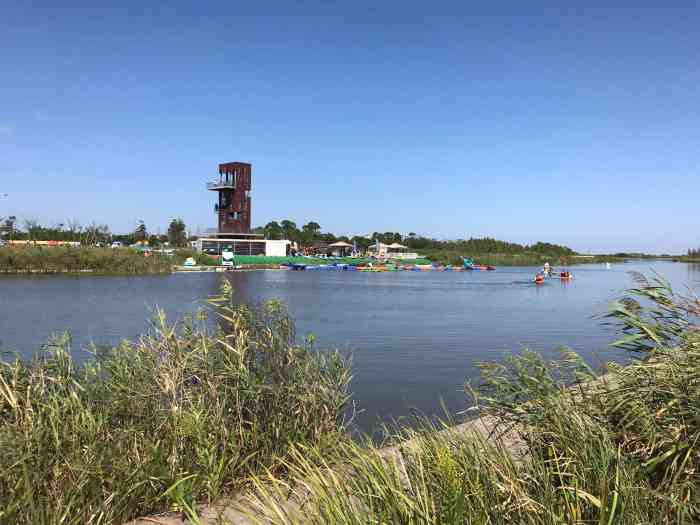 春花秋色城市公园-"上海的临港地区现在发展起来了,春花秋色公.