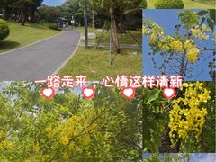 -四海公园(南山区)