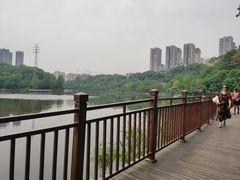 -重庆彩云湖湿地公园